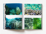 Coral - Martin Colognoli