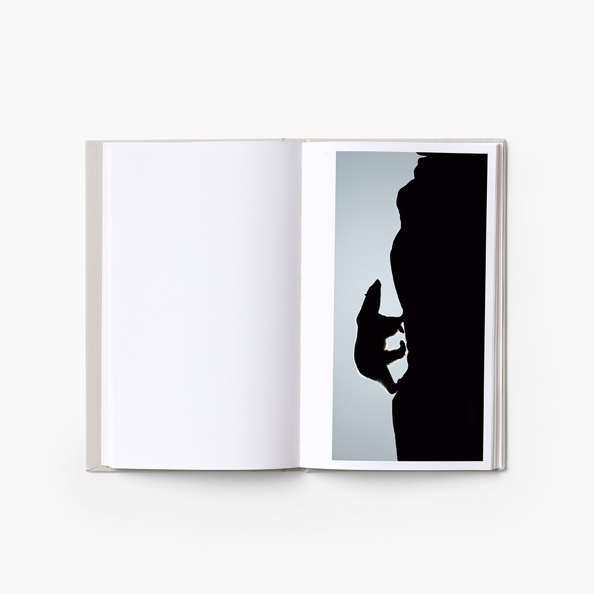 Solitudes I&II - Vincent Munier
