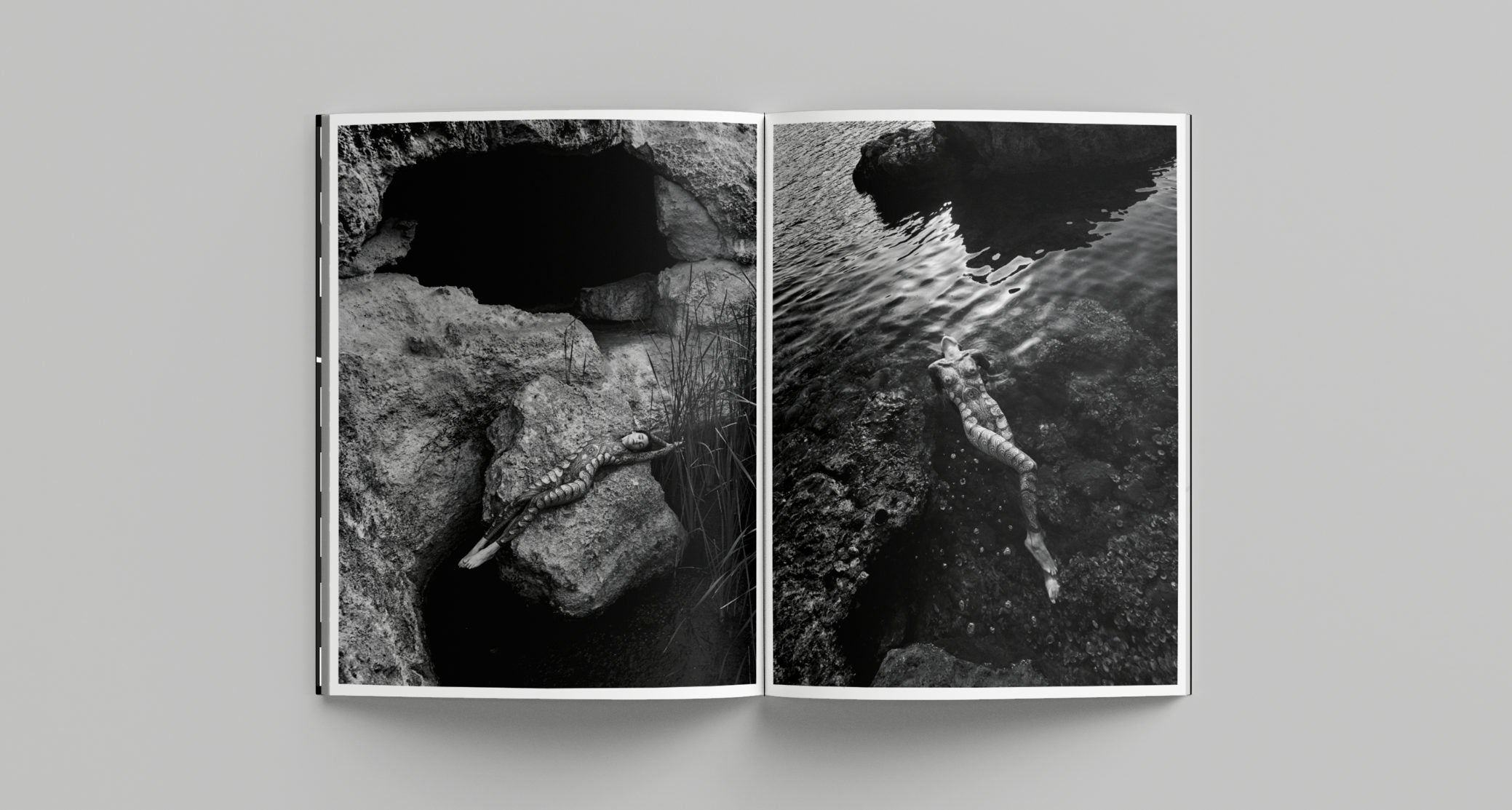 Noémification - Nicolas Guerin