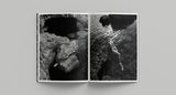 Noémification - Nicolas Guerin