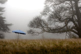 Yvonne et le parasol bleu - Sleeve Edition - Thierry des Ouches