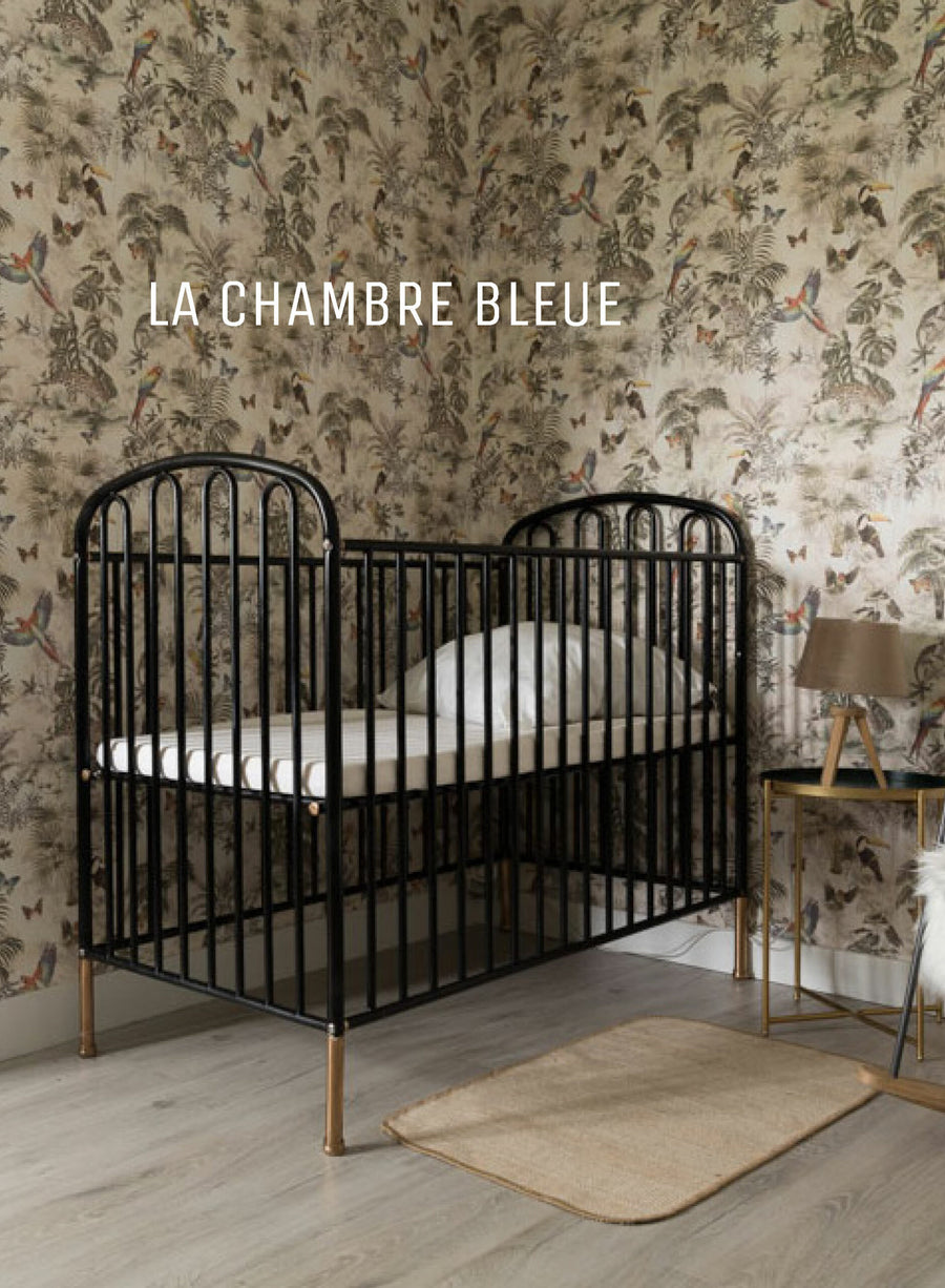 Un livre + un tirage A4 non signé + 10 € pour BAMP