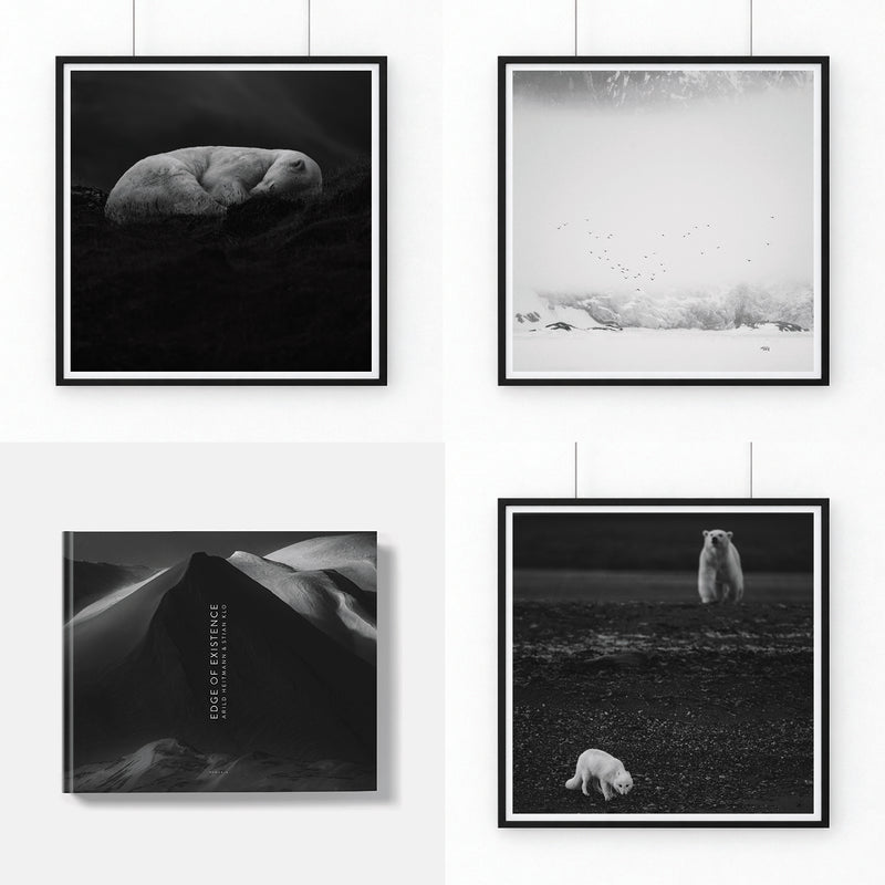 The Book [Signed] + Art Print 60x60