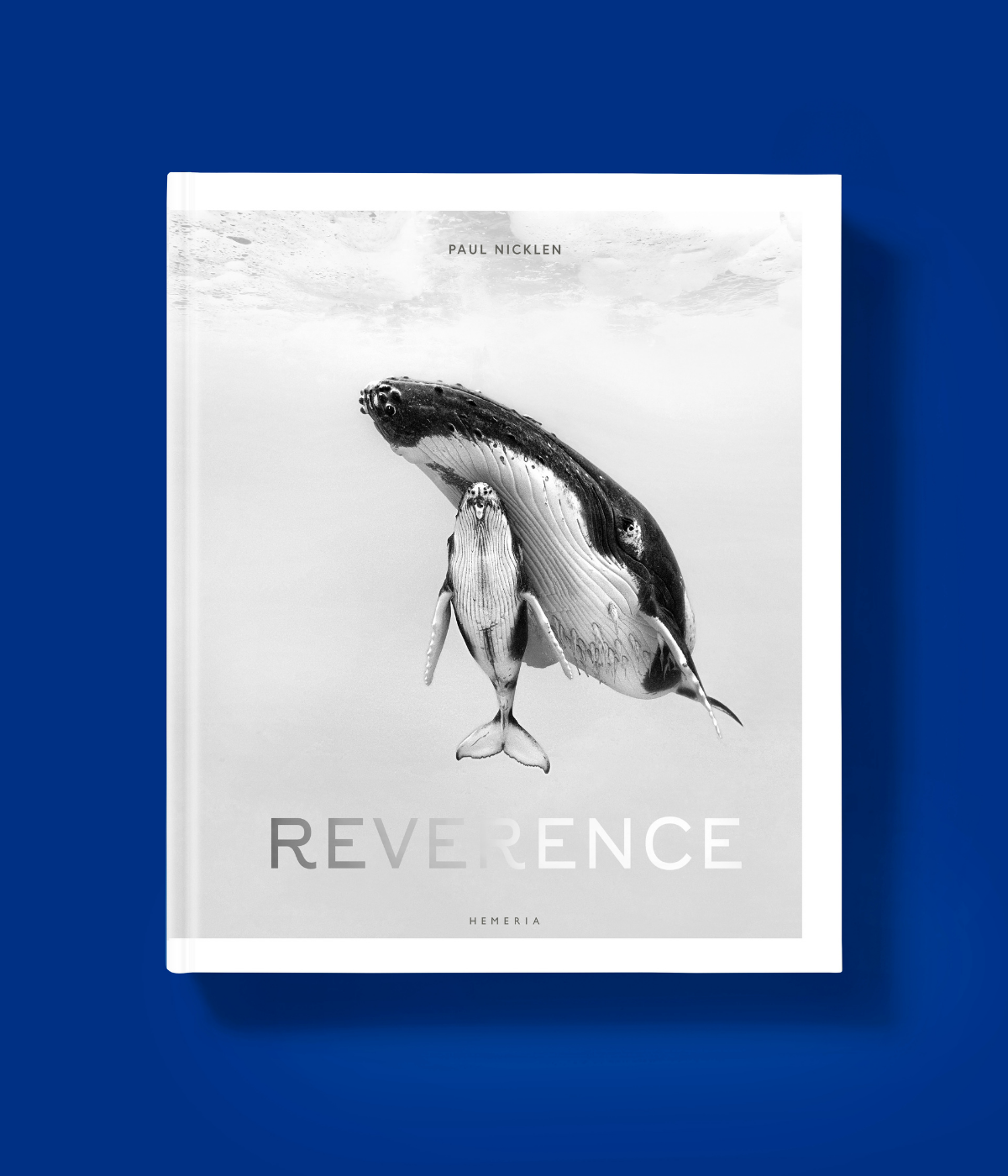 Reverence - Paul Nicklen