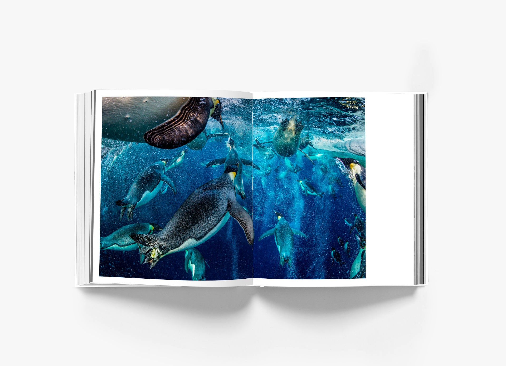 The Book R