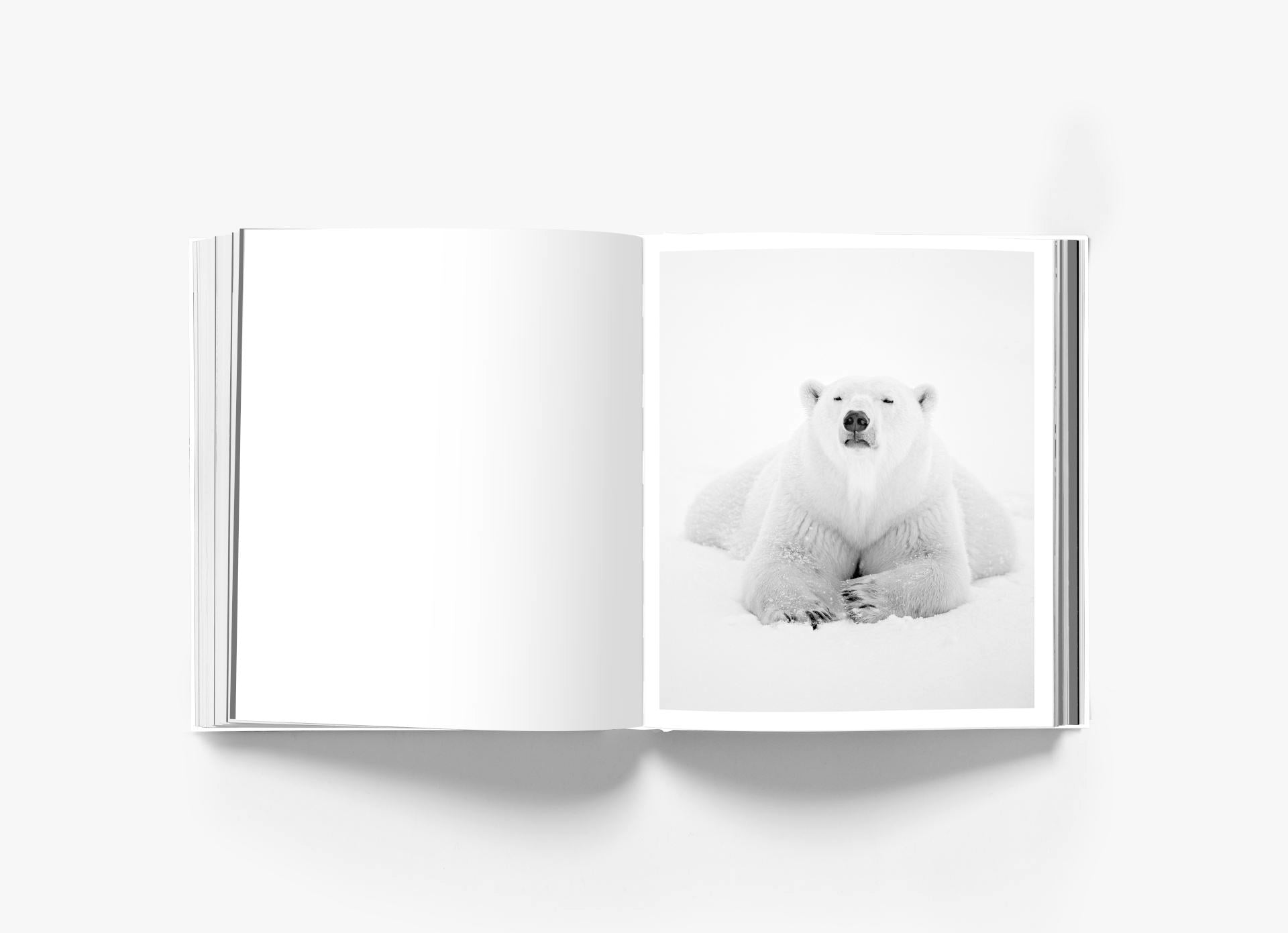 The Book R