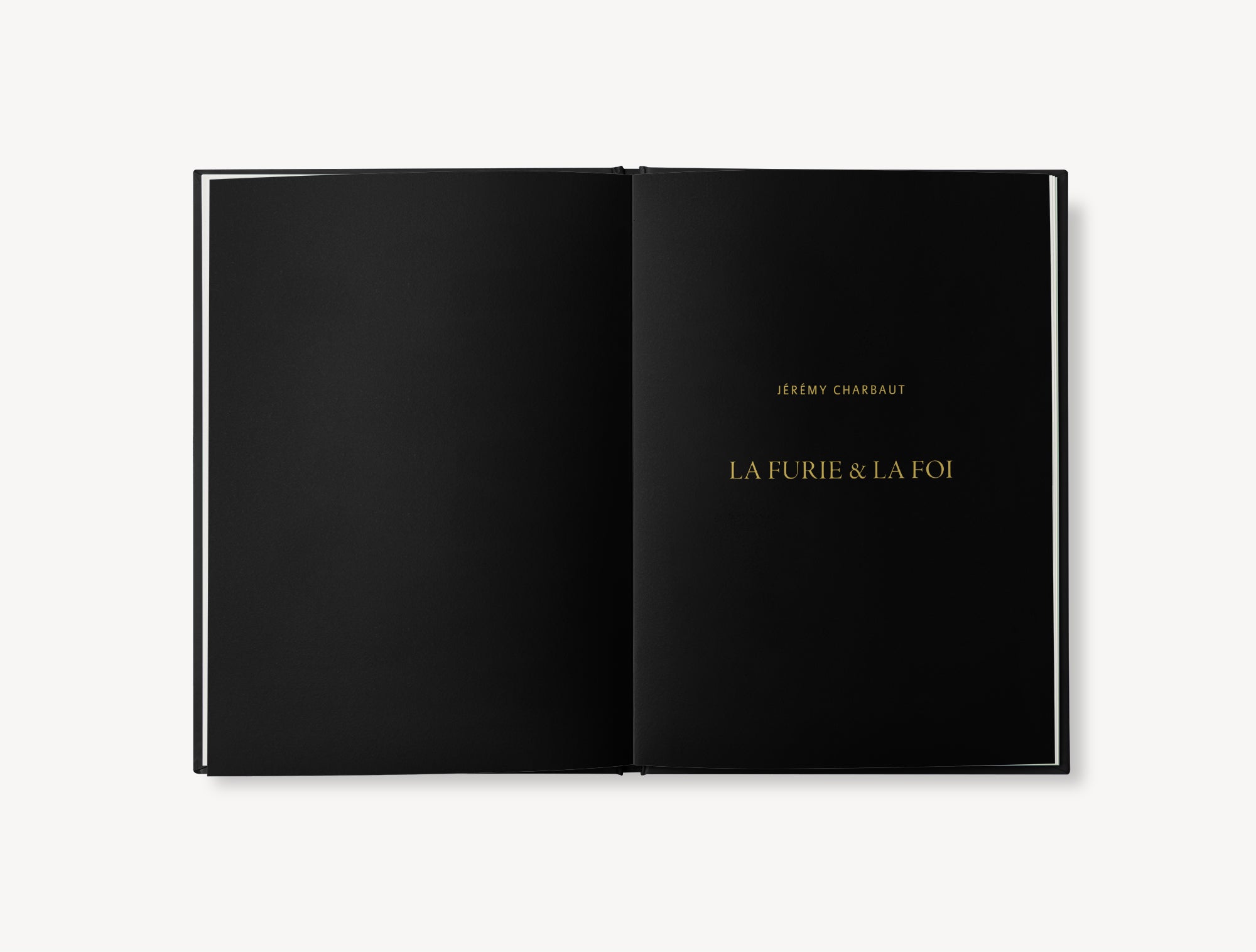 La furie et la foi - Jeremy Charbaut