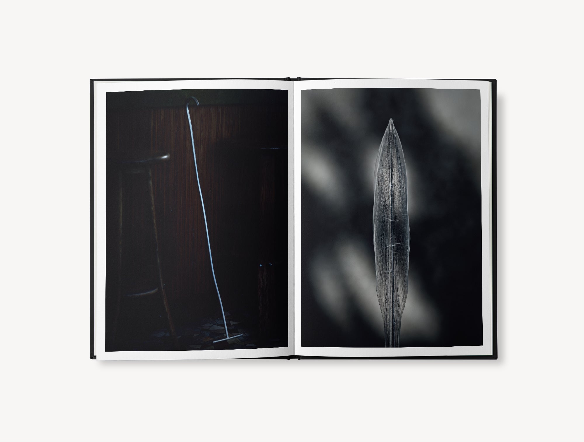 La furie et la foi - Jeremy Charbaut