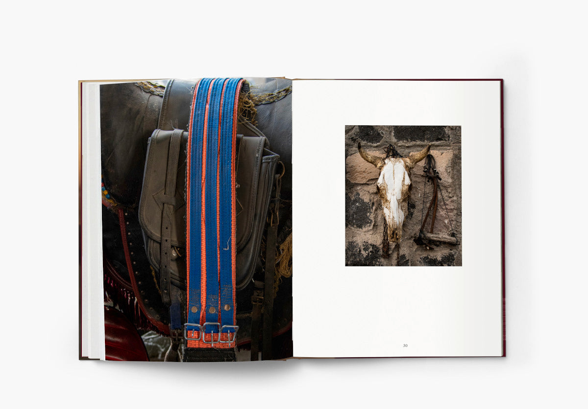 The Untold Story of the Yilki Horses