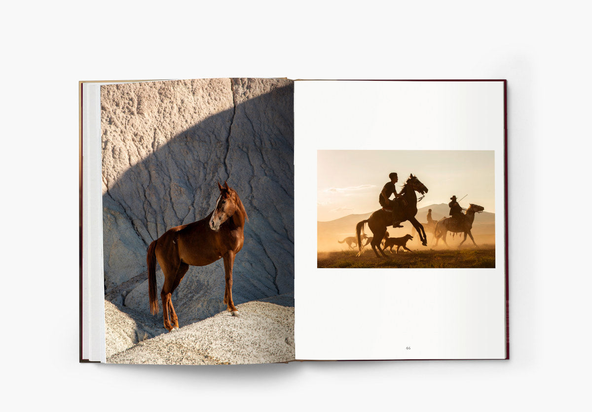 The Untold Story of the Yilki Horses