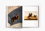 The Untold Story of the Yilki Horses