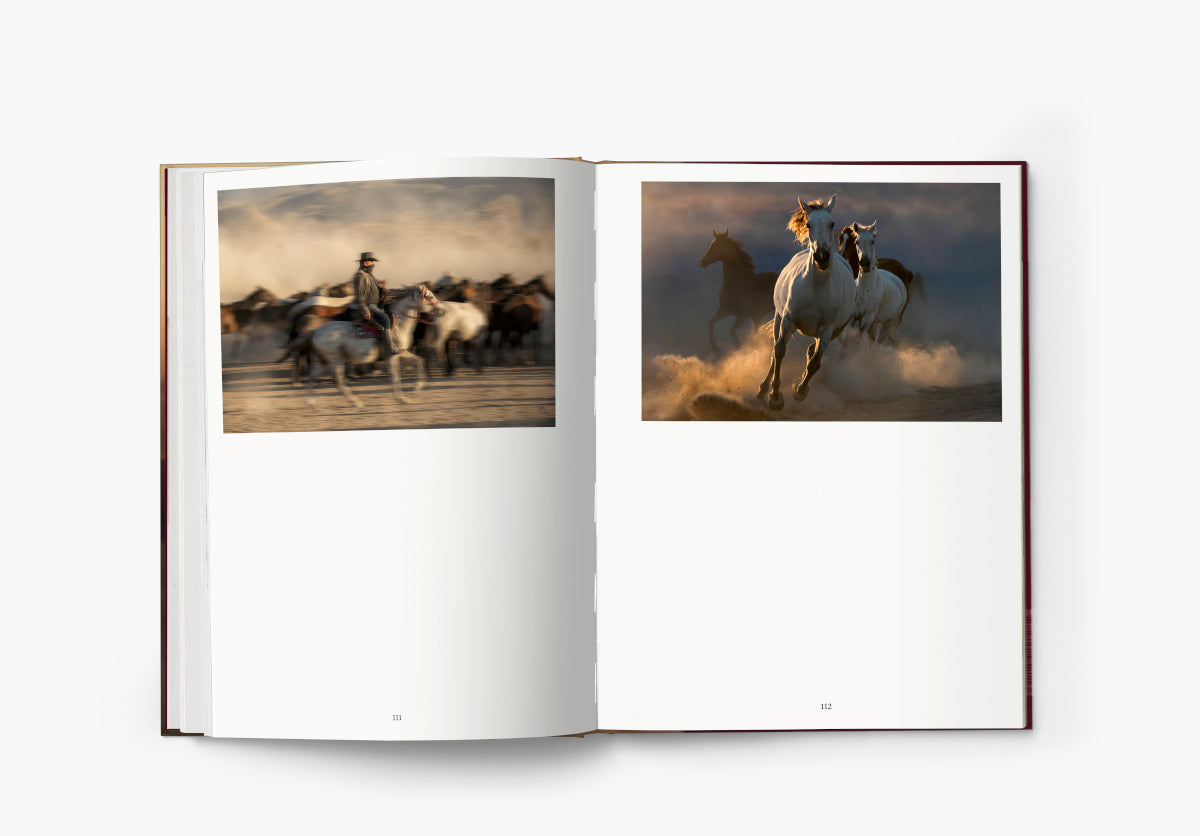 The Untold Story of the Yilki Horses