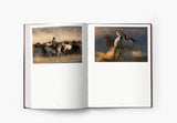 The Untold Story of the Yilki Horses