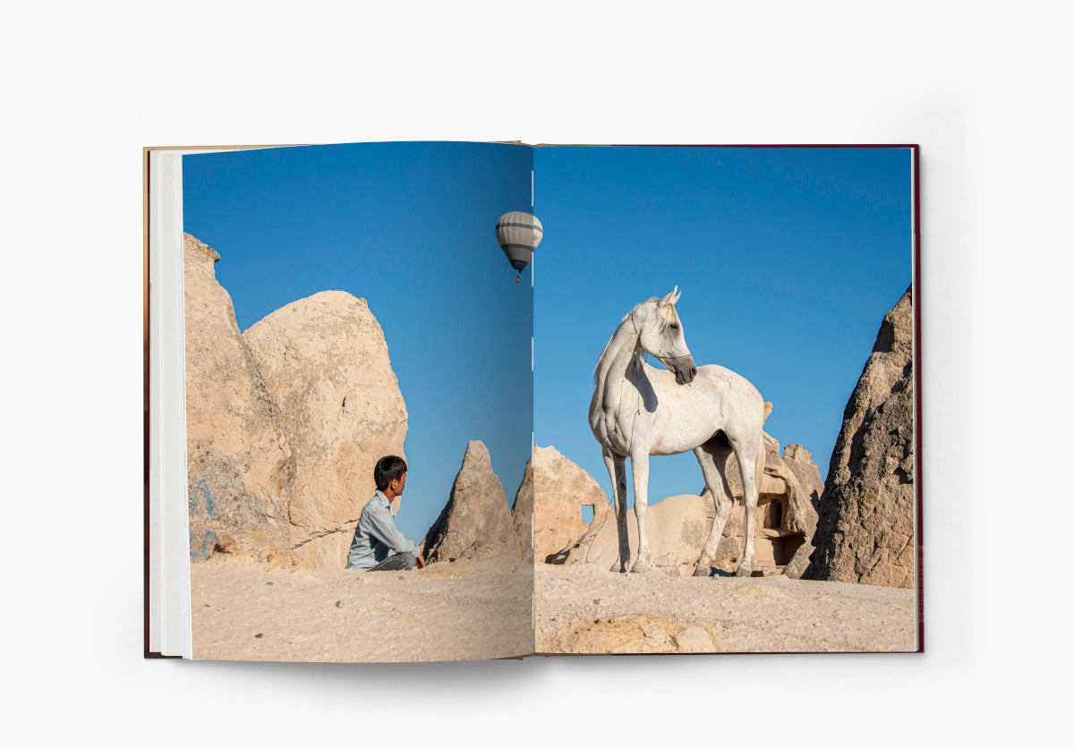 The Untold Story of the Yilki Horses