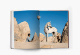 The Untold Story of the Yilki Horses