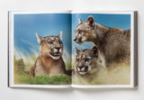 Reverence - Paul Nicklen
