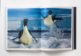 Reverence - Paul Nicklen