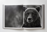 Reverence - Paul Nicklen