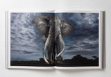 Reverence - Paul Nicklen
