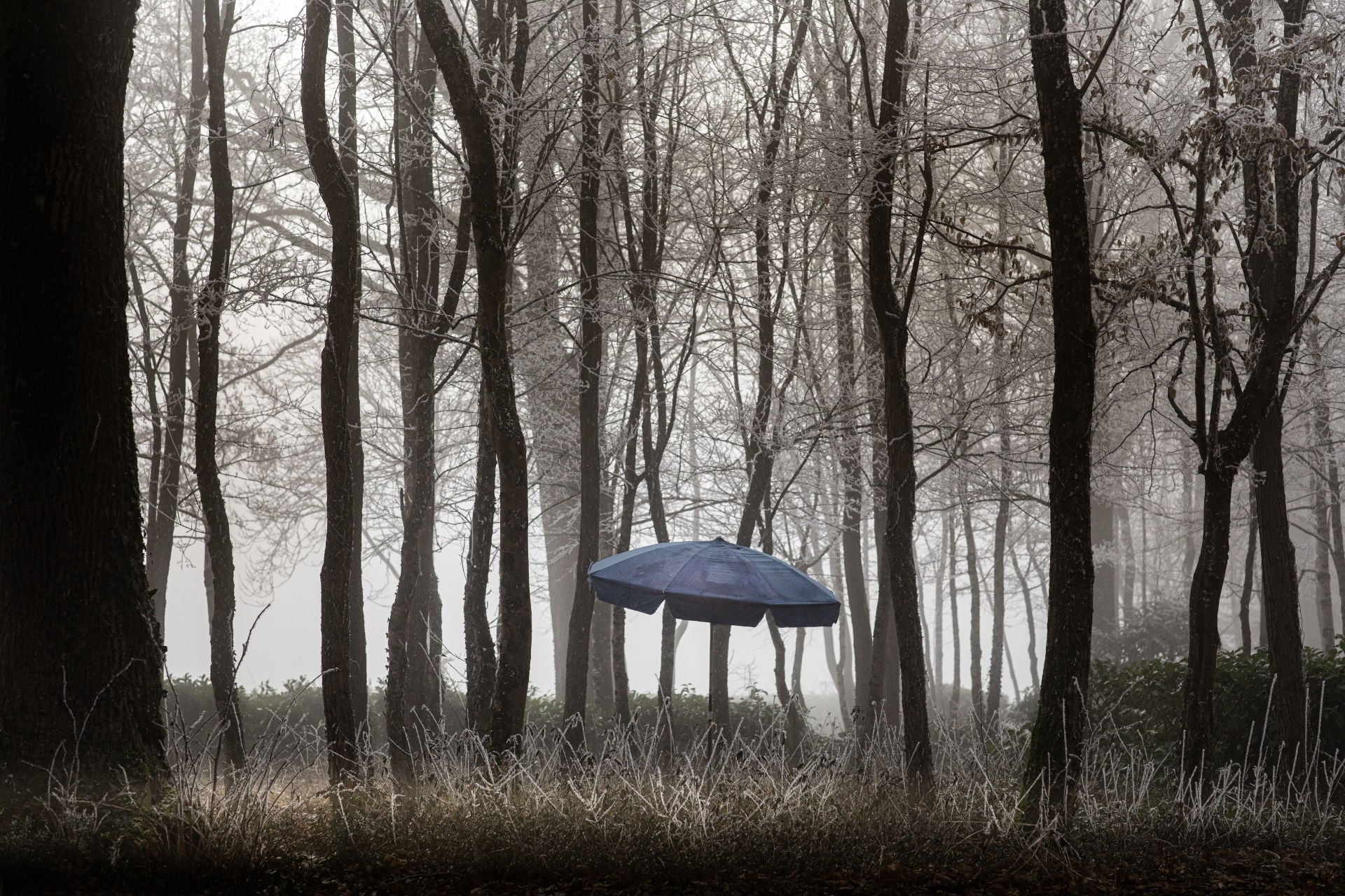 Yvonne et le parasol bleu - Sleeve Edition - Thierry des Ouches