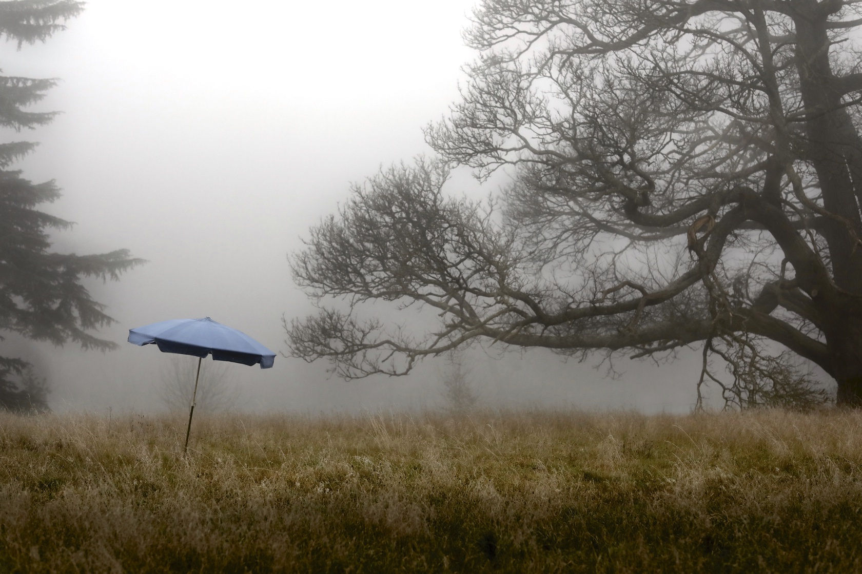 Yvonne et le parasol bleu - Sleeve Edition - Thierry des Ouches