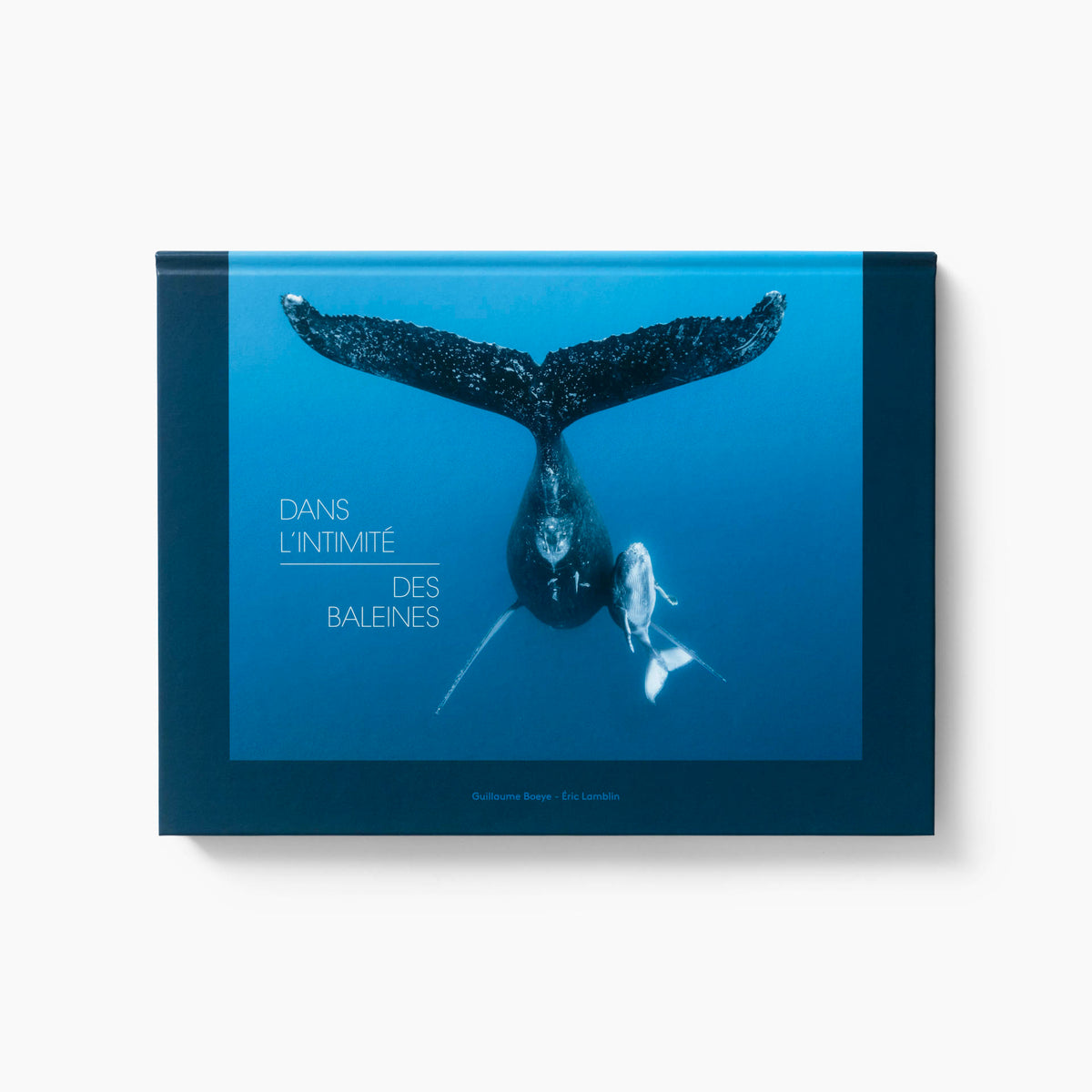 Communion with Whales