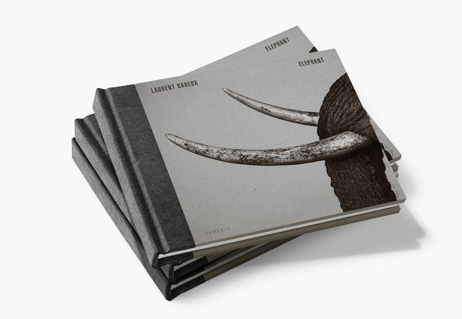 three Elephant books at home (commercial value 177 €)