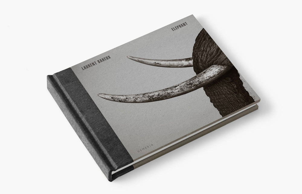 Elephant – Laurent Baheux