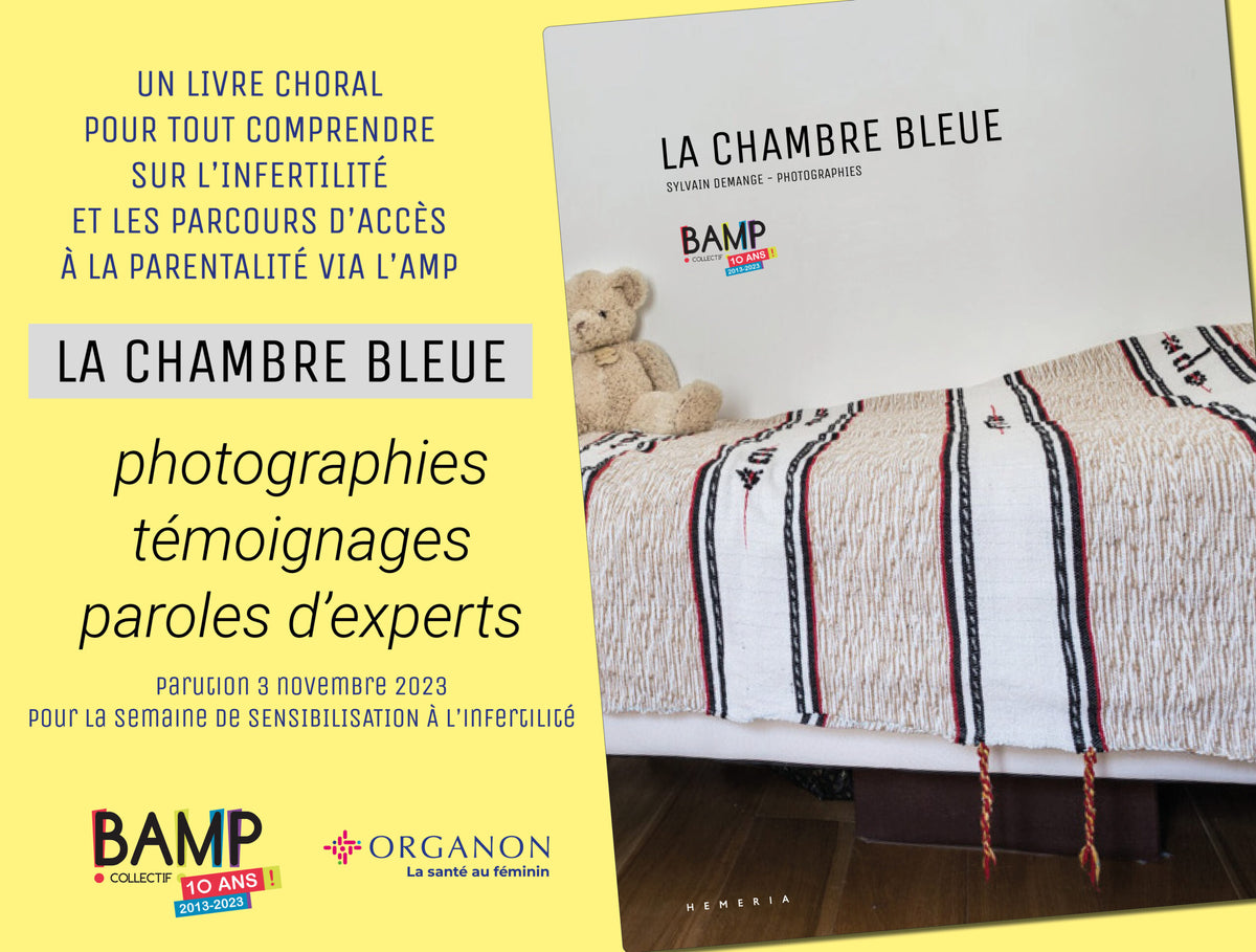 La chambre bleue – Sylvain Demange