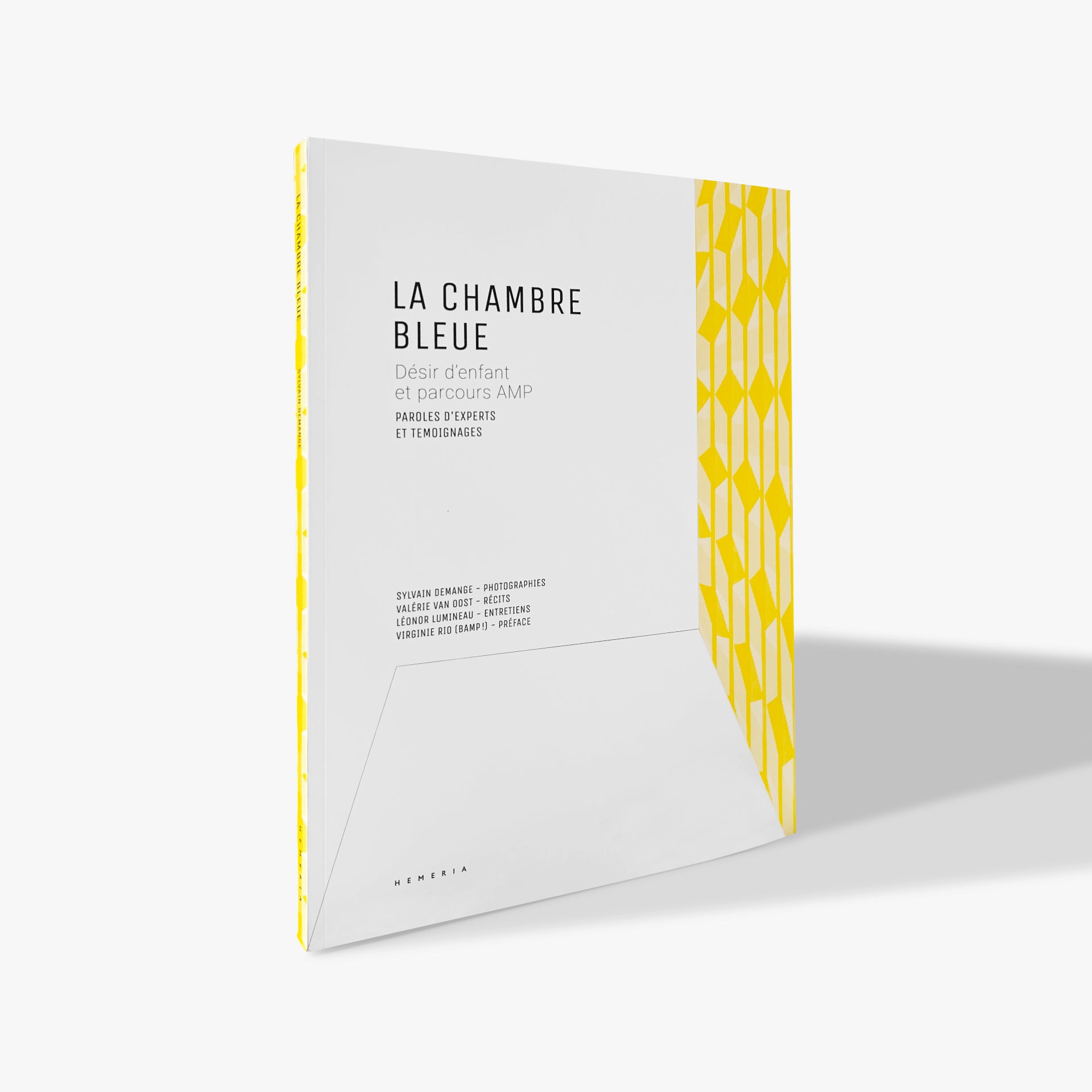 La chambre bleue - Sylvain Demange